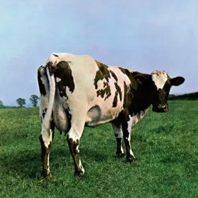 Atom Heart Mother (2016 EU Reissue) - Pink Floyd (Vinyl) (BD)