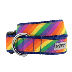 Collar | Rainbow