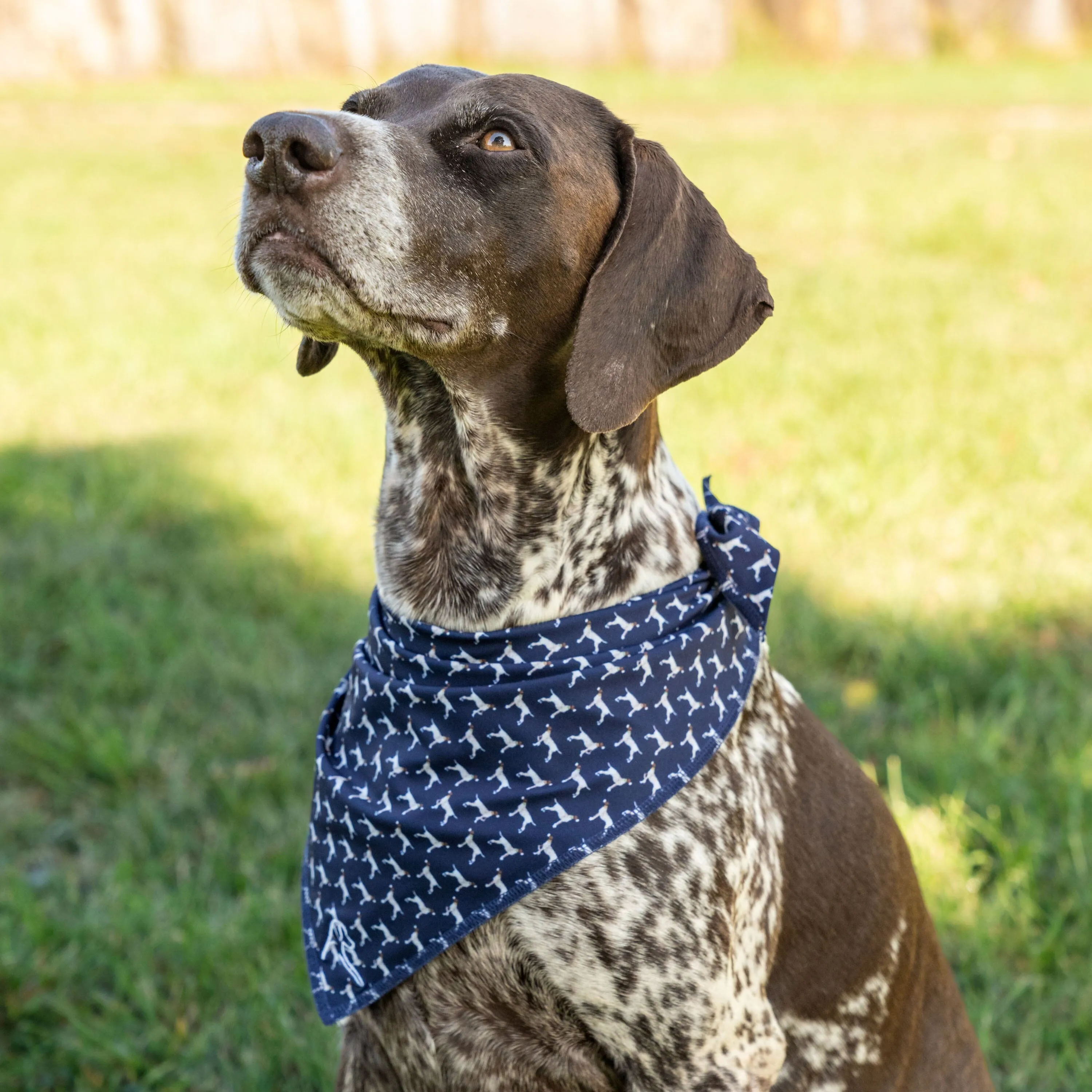 The GSP | Performance Bandana | The GSP - Evening Navy